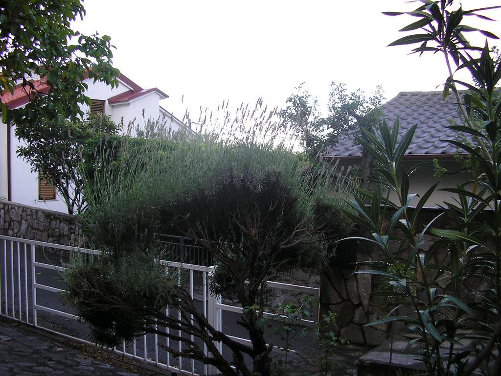 Apartment Bilic Klenovica Room photo